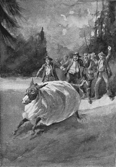 Then they tied a string of sleighbells to his tail, and
hit him a smart, stinging blow with a black snake (Page 27)