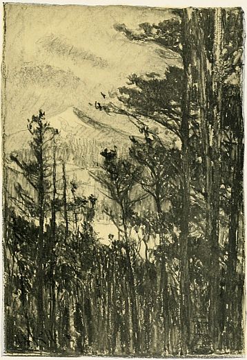 From this spot, that you said was "the fairest