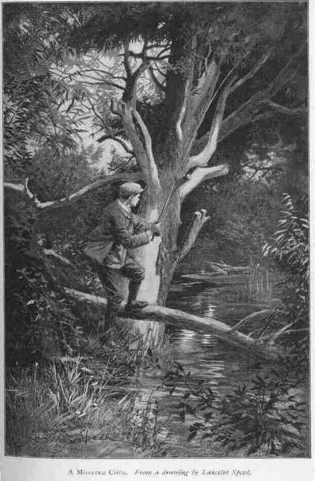 A MONSTER CHUB.
From a drawing by Lancelot Speed.