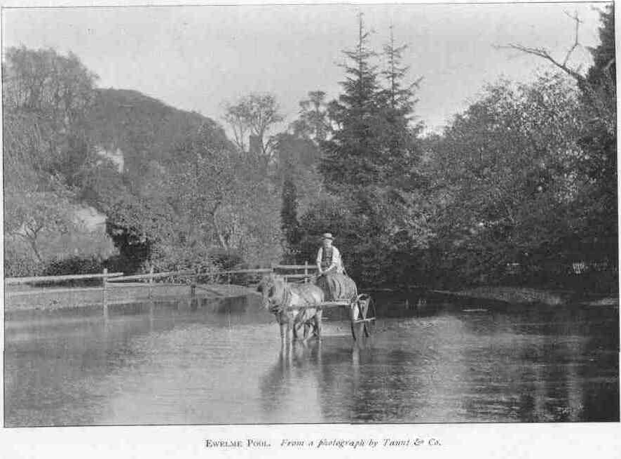 EWELME POOL.
From a photograph by Taunt & Co.