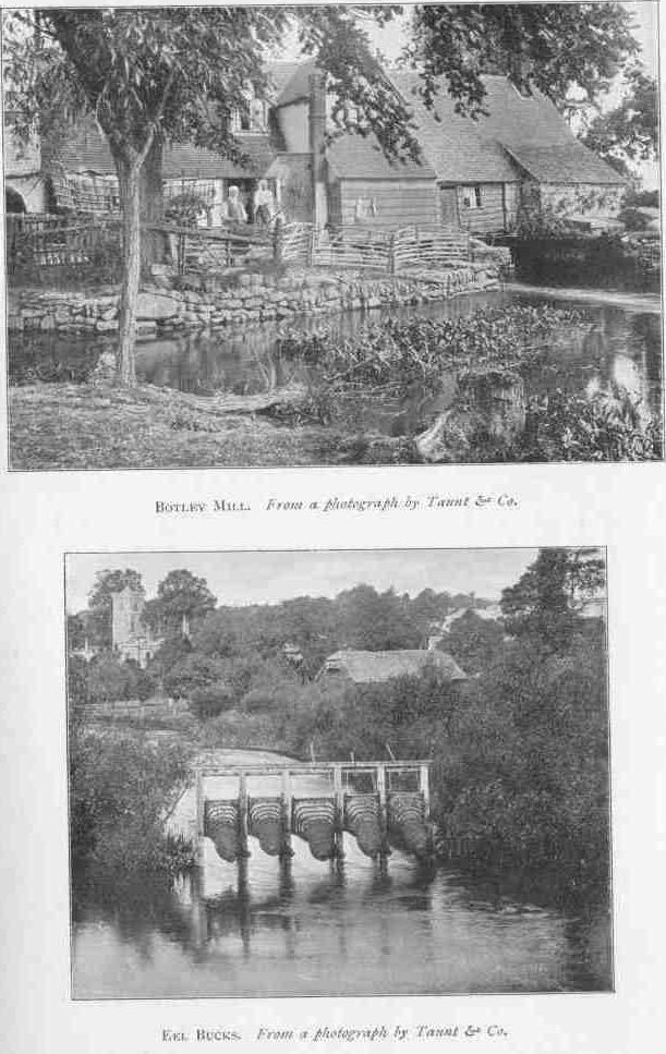 BOTLEY MILL.
From a photograph by Taunt & Co.
EEL BUCKS.
From a photograph by Taunt & Co.