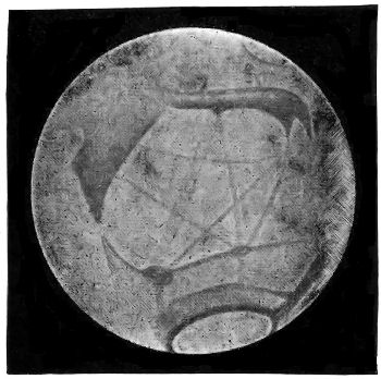 Fig. 42.—Telescopic aspect of the planet Mars (Feb.,
1901).