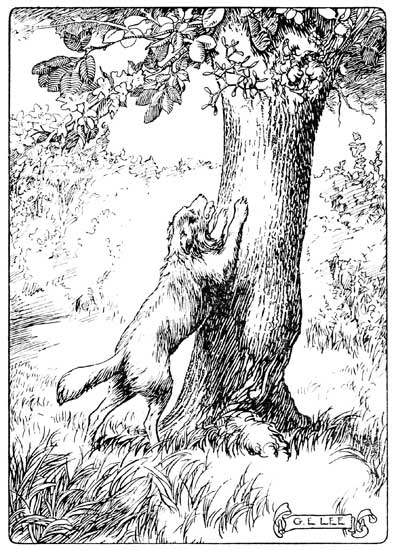 THE OLD DOG STOOD ON HIS HIND-LEGS AND BLINKED WITH HIS
BLIND EYES