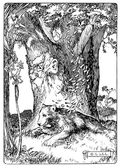 'YOU REALLY OUGHT NOT TO BE SO WASTEFUL WITH YOUR LEAVES,
OLD FRIEND,' SAID THE BEAR, LICKING HIS PAWS.