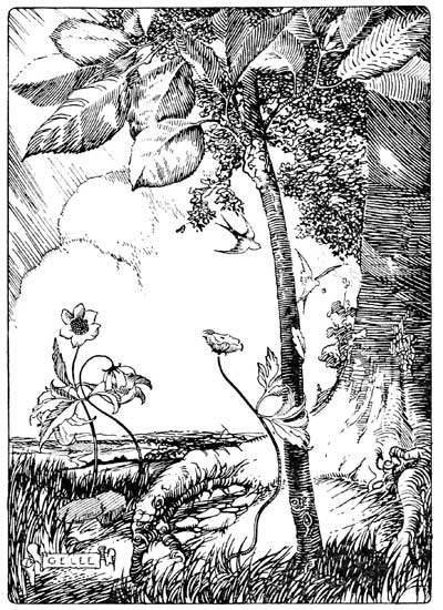 'FIE, FOR SHAME!' THEY CRIED TO THE BEECH-LEAVES. 'IT'S
YOU THAT ARE KILLING US.'