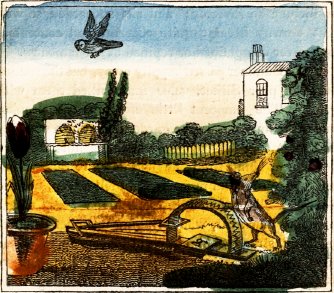 mouse caught in bird trap