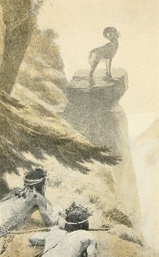 [See p. 149
"THERE STOOD, IN ALL HIS MAJESTY, THE GRAY CHIEFTAIN"