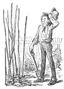 Illustration Illustration