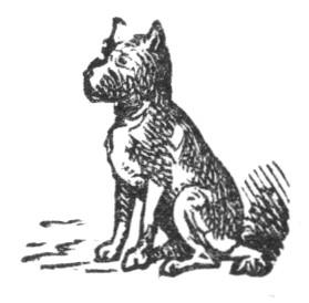 Illustration Illustration