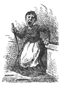 Illustration Illustration