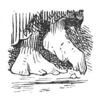 Illustration Illustration
