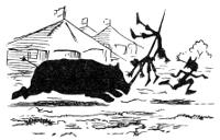 Illustration Illustration