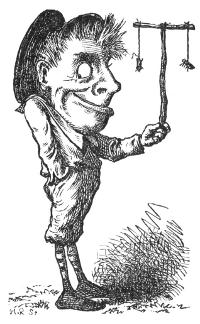 Illustration Illustration