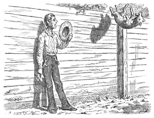 Illustration Illustration