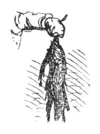 Illustration Illustration