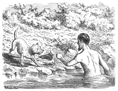 Illustration Illustration