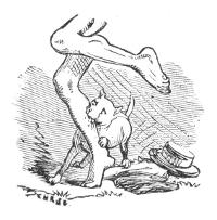 Illustration Illustration