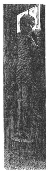 Illustration Illustration