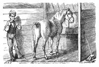 Illustration Illustration