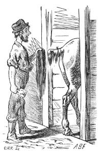 Illustration Illustration