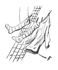 Illustration Illustration