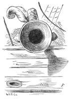 Illustration Illustration