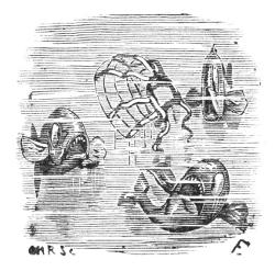 Illustration Illustration