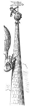 Illustration Illustration