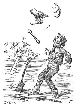 Illustration Illustration