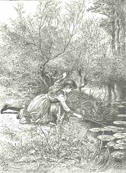 Rescuing tadpoles stranded on the broad leaf of a
water-lily.—p. 247