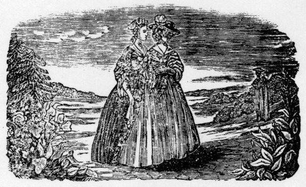 Emmeline and Lady Adelina surprised at the appearance
    of Fitz-Edward