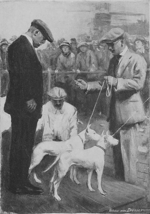 The judge examined them carefully