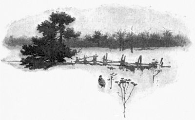 head high,
listening anxiously