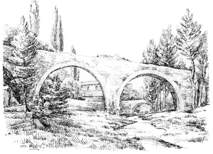 [Image unavailable.]