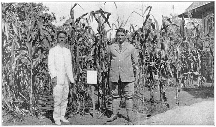 Peace and Prosperity.