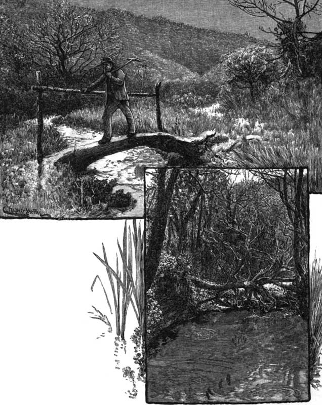 ON THE ROAD TO ST. NIGHTON'S KEEVE.