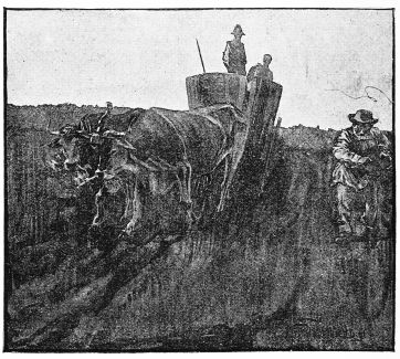 [Image unavailable.]