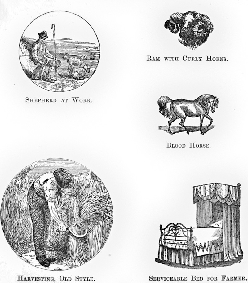 Five
small images, titled SHEPHERD AT WORK, RAM WITH CURLY HORNS, BLOOD
HORSE, HARVESTING, OLD STYLE, and SERVICEABLE BED FOR FARMER.