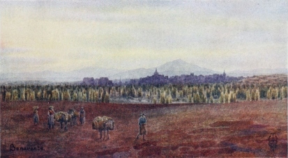 BENAVENTE

From above the Bridge of Castro Gonzalo.