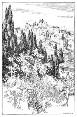 THE FORTIFICATIONS OF MICHELANGELO