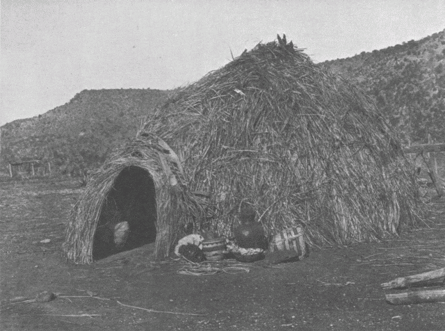 Primitive Apache Home Illustration: Primitive Apache Home