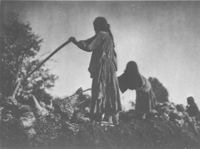 Filling the Pit - Apache Illustration: Filling the Pit - Apache
