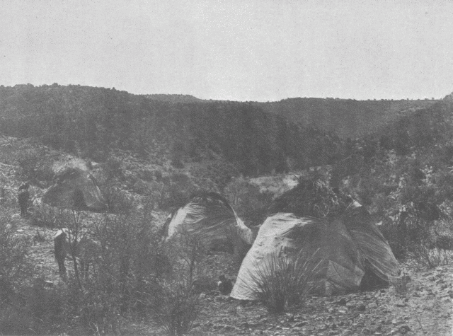 Mescal Camp - Apache Illustration: Mescal Camp - Apache