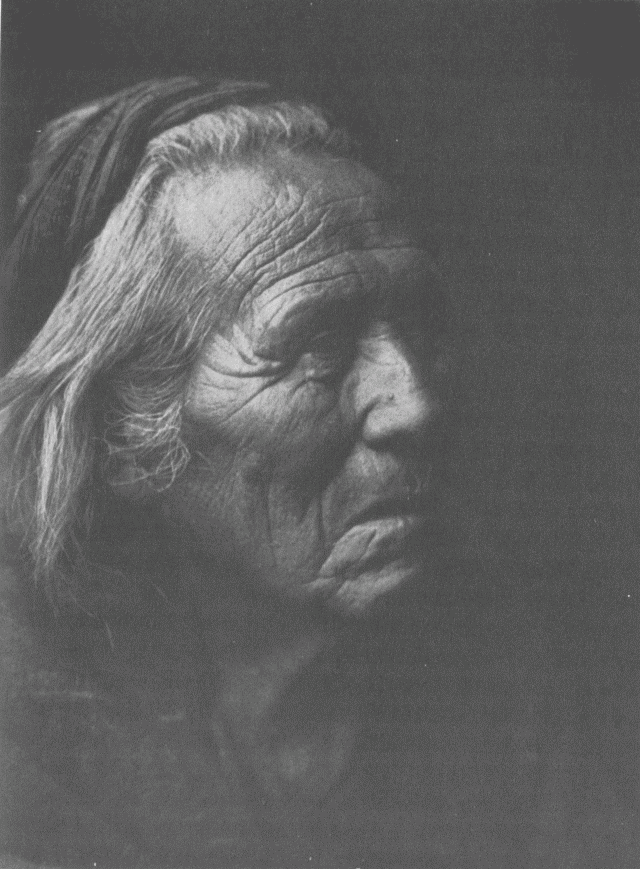 Navaho Medicine-man Illustration: Navaho Medicine-man