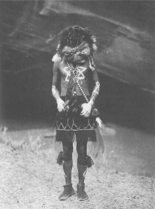 Tobadzĭschí̆nĭ - Navaho Illustration: Tobadzĭschí̆nĭ - Navaho