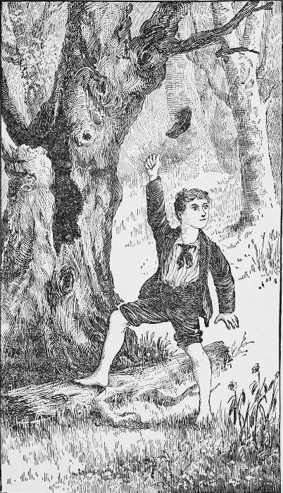 On finding the stolen silver, Fred threw his cap in the
air and gave a shout