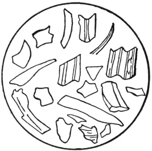 Fig. 4. Volcanic Dust as it
Appears Under the Microscope