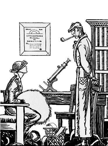 “IN THE DETECKATIVE LINE NOTHING SOUNDS FOOLISH” (page
218)