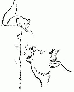 bull bellowing at squirrel