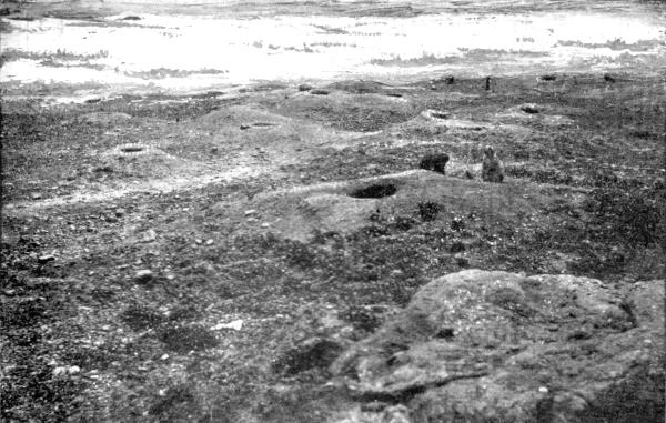 I. A Prairie-dog town

In N. Y. Zoo. Photo by E. T. Seton